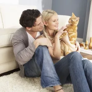 Jak powstrzymać kotka lub dorosłego kota w mieszkaniu: zasady trzymania kotów w domu